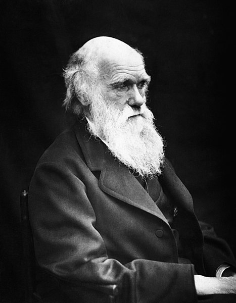Photograph of Charles Darwin by Julia Margaret Cameron