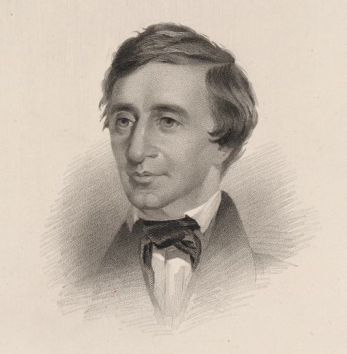 Engraving of Henry David Thoreau.