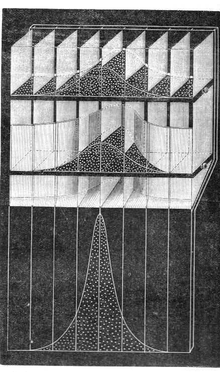 Illustration from Galton's article, “Typical Laws of Heredity III,” Nature 15 (19 April 1877): 532–533.