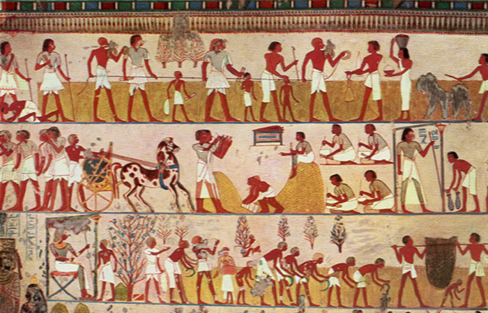 Wall painting of mathematical activities in Tomb of Menna.